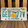 画像1: 90s License plate "Florida" (1)