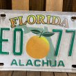 画像4: 90s License plate "Florida" (4)