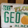 画像3: 90s License plate "Florida" (3)