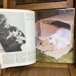 画像7: 70s Vintage Book "CATS" (7)
