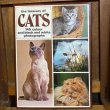 画像1: 70s Vintage Book "CATS" (1)