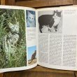 画像8: 70s Vintage Book "CATS" (8)