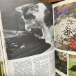 画像11: 70s Vintage Book "CATS" (11)