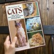 画像17: 70s Vintage Book "CATS" (17)