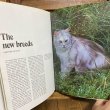 画像13: 70s Vintage Book "CATS" (13)