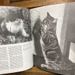 画像9: 70s Vintage Book "CATS" (9)