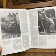 画像5: 70s Vintage Book "CATS" (5)