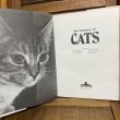 画像4: 70s Vintage Book "CATS" (4)