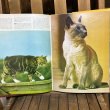画像7: 70s Vintage Book "all color book of Cats" (7)