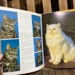画像6: 70s Vintage Book "all color book of Cats" (6)
