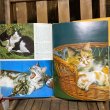 画像8: 70s Vintage Book "all color book of Cats" (8)