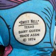 画像8: 70s Dairy Queen Pillow Doll "Sweet Nell" (8)