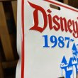 画像9: 1987s Disneyland License Plate (9)