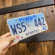 画像7: 90s License plate "Mississippi" (7)