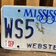 画像2: 90s License plate "Mississippi" (2)
