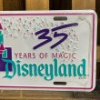 画像4: 90s Disneyland License Plate (4)