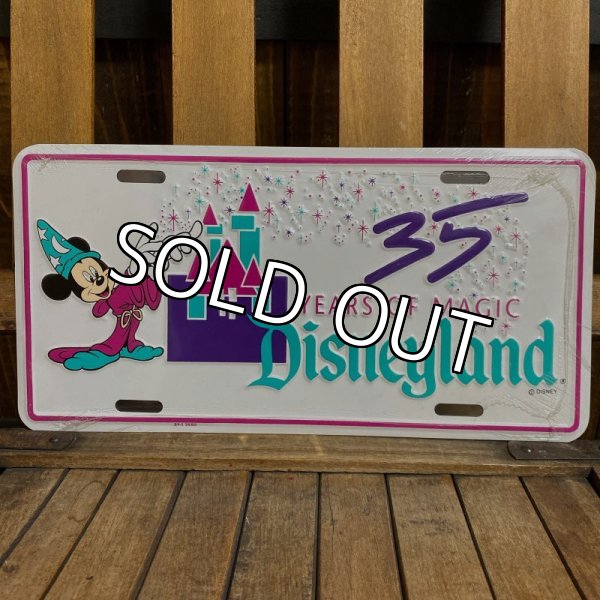 画像1: 90s Disneyland License Plate (1)