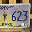 画像4: 2013s License plate "Mississippi" (4)