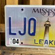 画像2: 2013s License plate "Mississippi" (2)