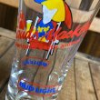 画像8: 80s Bud Light Spuds Mackenzie Beer Glass "Summer" (8)