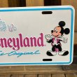 画像4: 1991s Disneyland License Plate (4)