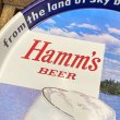 画像2: 50s Hamm's Beer Serving Tray (2)