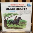 画像5: 60s Walt Disney "Black Beauty" Record / LP (5)