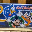 画像3: 2000s Walt Disney World License Plate (3)