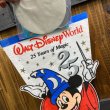画像5: 1996s Walt Disney World Pennant "25th Years of Magic" (5)