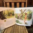 画像7: 1967s Walt Disney "The Jungle Book" Book and Record / LP (7)